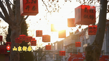 品类足 年味浓 各地年货市场供销两旺