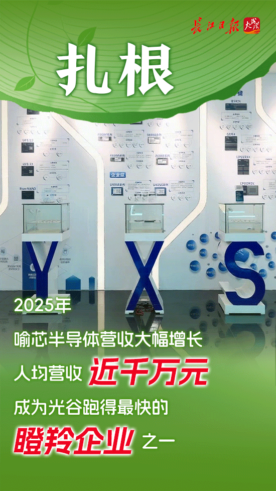 从一棵树到一片林——国家存储产业十年成长记