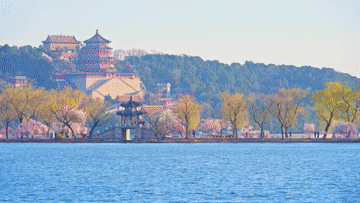 微视频｜为美丽中国增绿添彩