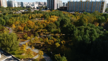 微视频｜为美丽中国增绿添彩