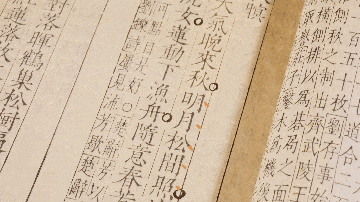 天一阁展出珍贵古籍《类笺唐王右丞诗集》:一览“诗佛”王维的笔下盛唐 天一阁展出珍贵古籍《类笺唐王右丞诗集》:一览“诗佛”王维的笔下盛唐