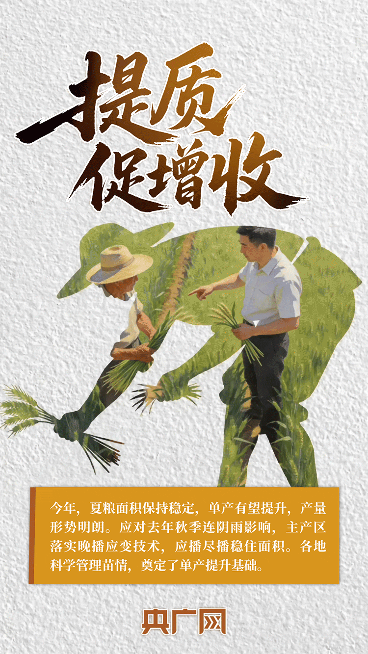 AI中国|一抹金黄,尽绘夏收丰年!
