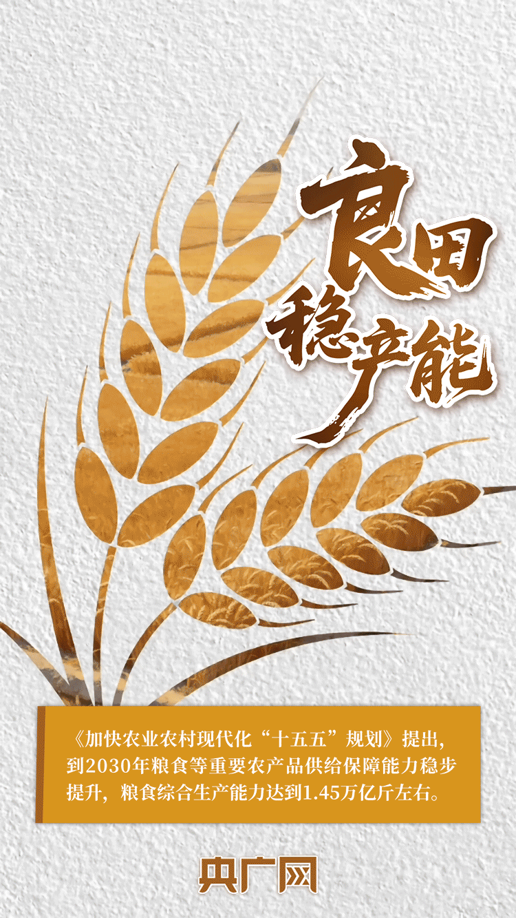 AI中国|一抹金黄,尽绘夏收丰年!