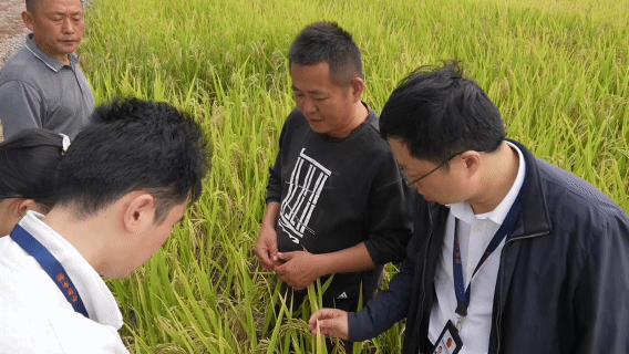 微视频丨清风正气暖万家