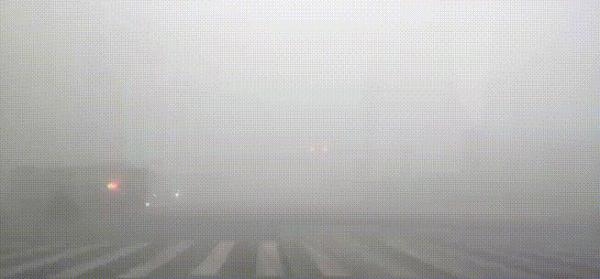 能见度不足50米！山东发大雾预警