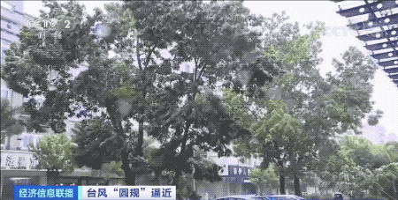 上海发布雷电黄色预警！明天超过29度，周日跌至17度