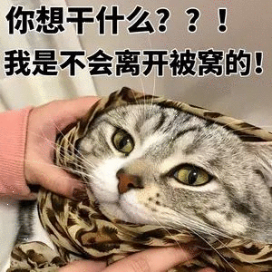 最低零下4℃！又要下雪？
