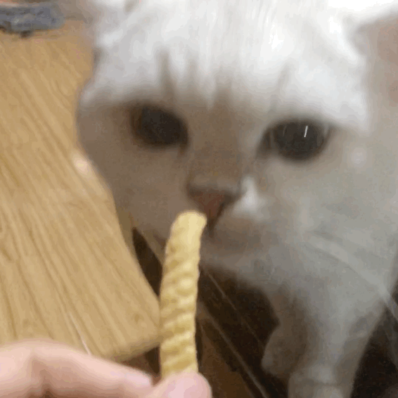 火上央视！青岛这种美食出圈了！商家一个月狂卖80万元