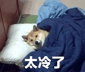 大寒至！厦门天气迎大反转！湿冷暴击又来了！明起降温降雨
