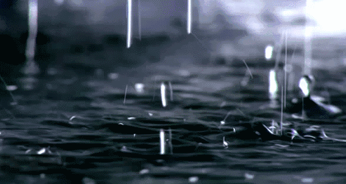大寒至！厦门天气迎大反转！湿冷暴击又来了！明起降温降雨