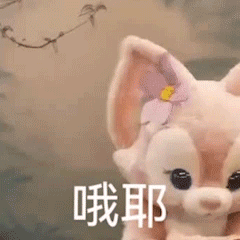 春运期间，新手上高速注意这几点！