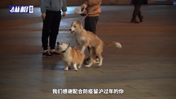 晚上8点，陆家嘴的快餐店，一叠思乡的明信片......