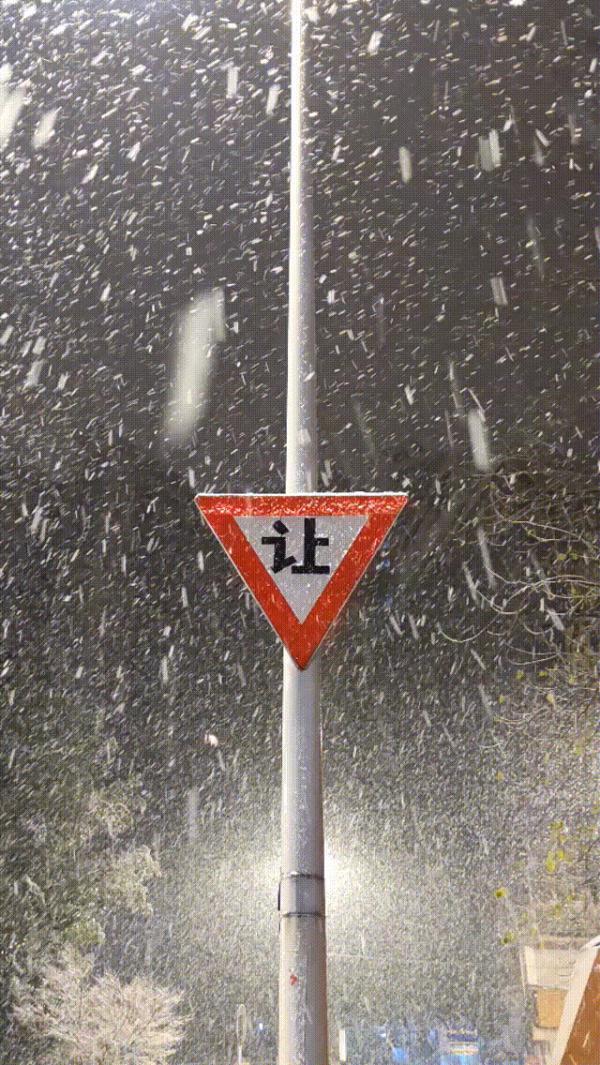 大雪真的来了！白茫茫一片！