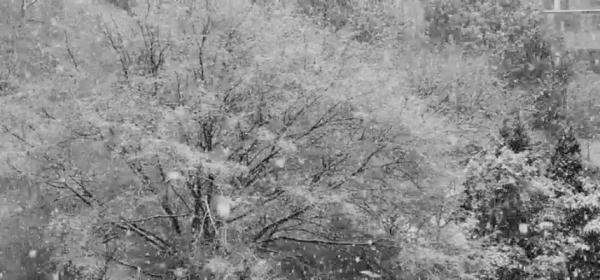 “断桥残雪”出现了！这场雪会持续到何时？新一轮冷空气又将抵达浙江