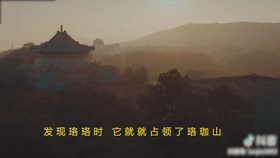 高清画面!武大网红小狐狸过年又胖了?网友:快找个伴 高清画面!武大网红小狐狸过年又胖了?网友:快找个伴