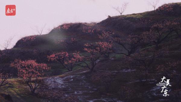 二十四节气里的广东究竟有多美? 二十四节气里的广东究竟有多美?