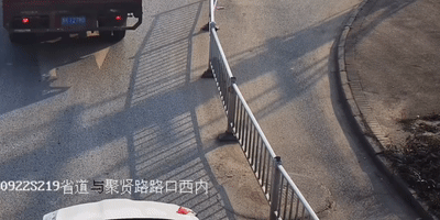 “贵C”小伙敢当着交警跨护栏！人民日报点赞！