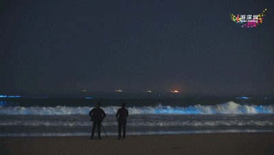 深圳现蓝色“荧光海”，宛如天际星河！