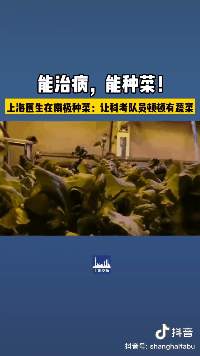 在南极，中国科考队把隔壁邻居馋哭了