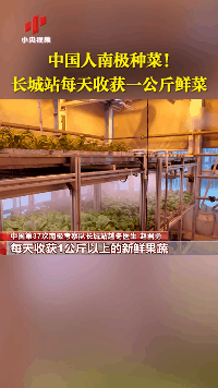 在南极，中国科考队把隔壁邻居馋哭了