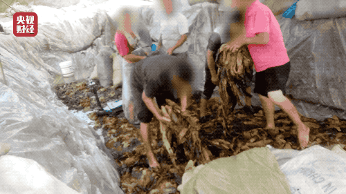 刚刚央视曝光，别再连这些免费WiFi了！部分场面触目惊心…