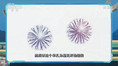 在纳米材料上如何造孔？肉眼看不见的“孔”竟能大显神通！