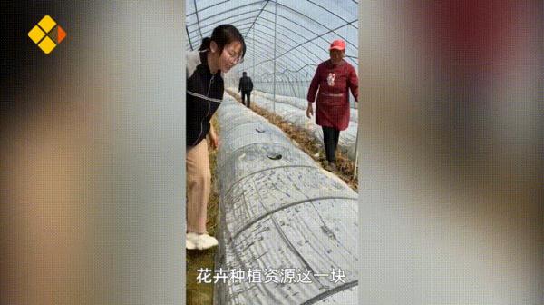 当代年轻人返乡现状：95后成了非遗传承人，90后变养牛大户……