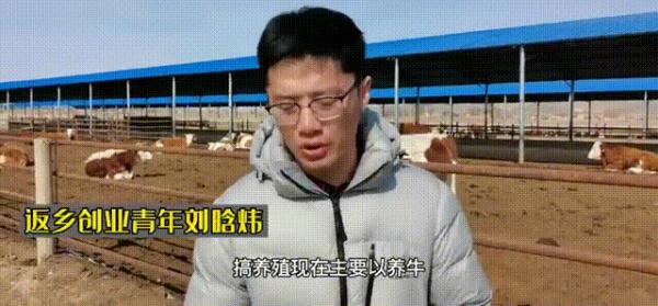 当代年轻人返乡现状：95后成了非遗传承人，90后变养牛大户……