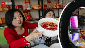 当代年轻人返乡现状：95后成了非遗传承人，90后变养牛大户……