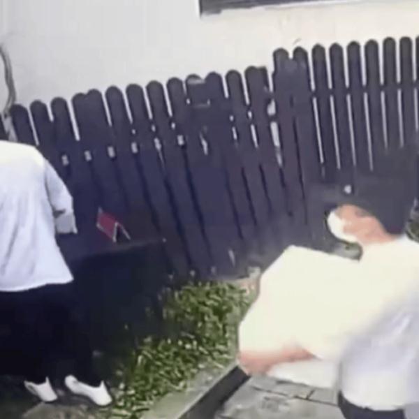 眼神一对，包子免费！