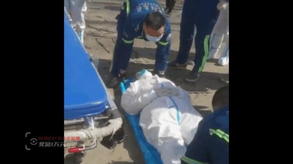 大树倒下瞬间，90后女孩奋力推开核酸采样医生，自己却…