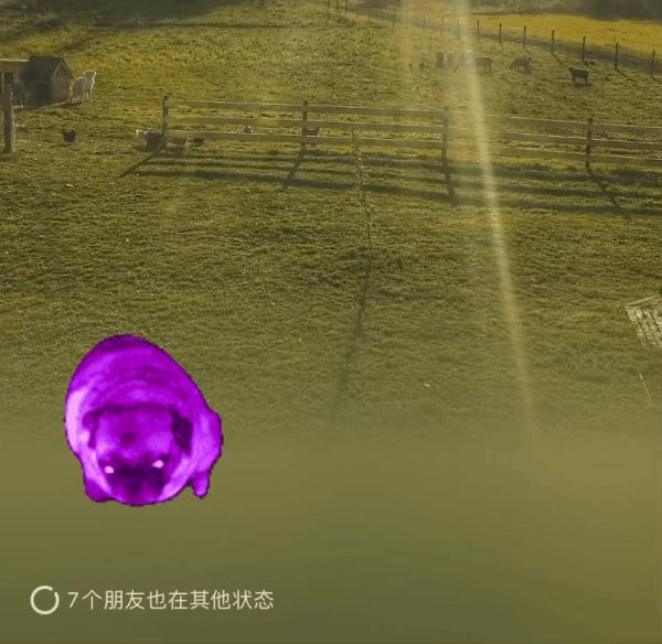 微信上线新功能，秒变“农场主”