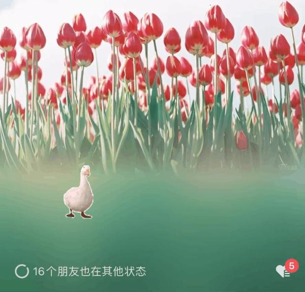 微信上线新功能，秒变“农场主”