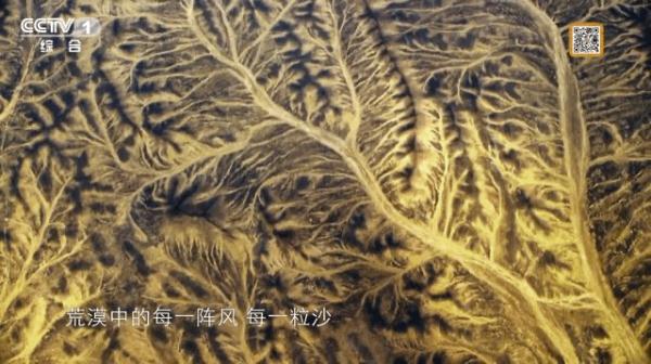 “马拉松冠军”“隐身能手”，动物们还有哪些你不知道的生存技巧？