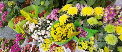 直播间买花？小心踩“坑”！