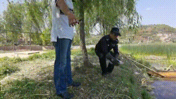 豹猫、白鹭鸶、领角鸮……这些被蜀黍救助的“小可爱”，你都认识吗？