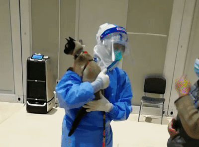 被主人带进方舱的猫猫，顺利毕业啦