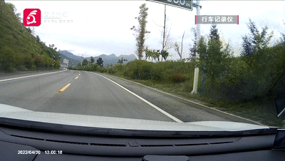 两车迎头相撞！竟是弯道强行超车？肇事驾驶员的身份让人后怕……