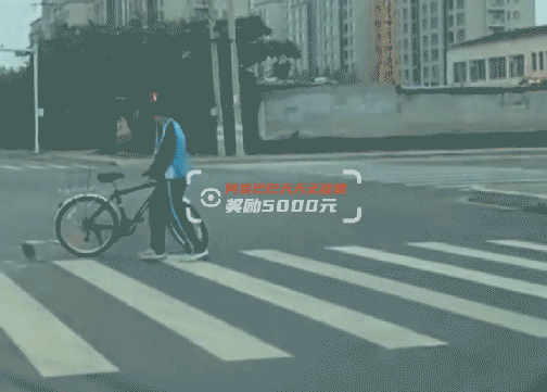 “抱石少年”终于找到了！刘伟豪，好样的！