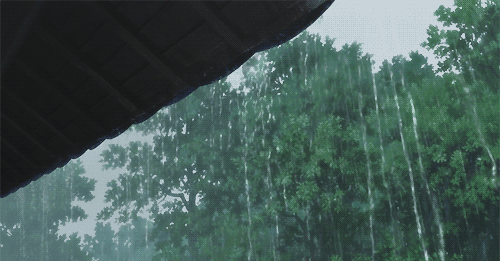 广东冷空气夹雨到，气温低至“1字头”！太阳“上线”要等到→