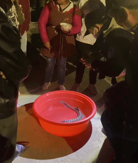 浙江一村民钓龙虾遇上“无价之宝”？！没想到是…