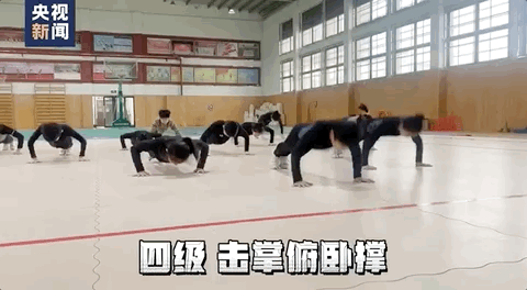 小学生俯卧撑版《本草纲目》，网友看呆了！