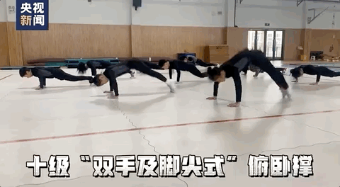 小学生俯卧撑版《本草纲目》，网友看呆了！