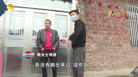 女子一年花15万收养16只流浪狗，父亲：女儿养狗不养爹