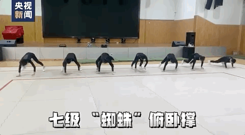 小学生俯卧撑版《本草纲目》，网友看呆了！