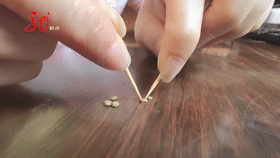 哈尔滨街头出现很多会跳的“叶子”，到底是啥？对人体有害吗？