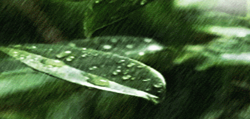 今夜冷空气携降水登场,明天温度跳水3-12℃! 今夜冷空气携降水登场,明天温度跳水3-12℃!