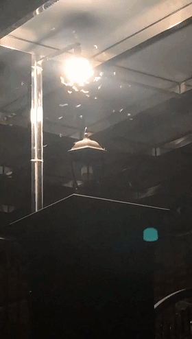紧急提醒！广东多地爆发，千万不能这样做！