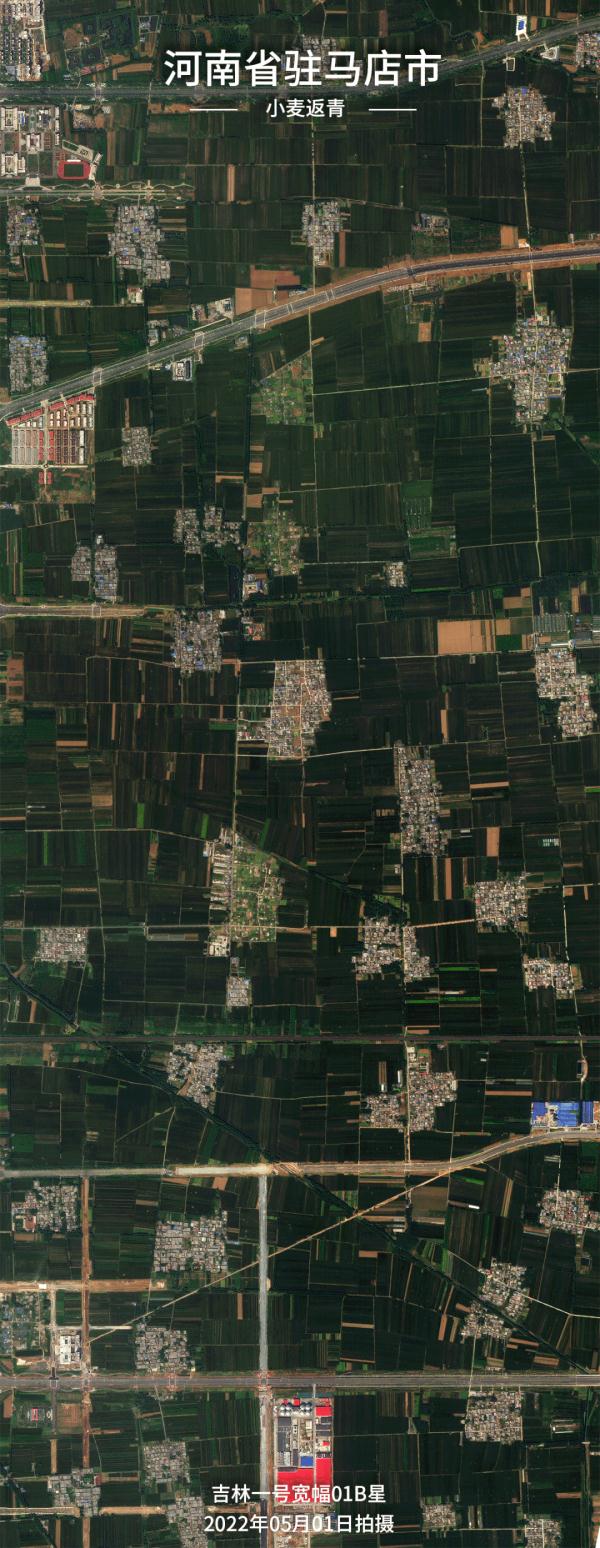 壮观！卫星目击：中国麦田绘出丰收画卷