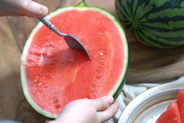 “隔夜西瓜”一口8400个细菌、菌落总数达42000?还能愉快地吃瓜吗? “隔夜西瓜”一口8400个细菌、菌落总数达42000?还能愉快地吃瓜吗?